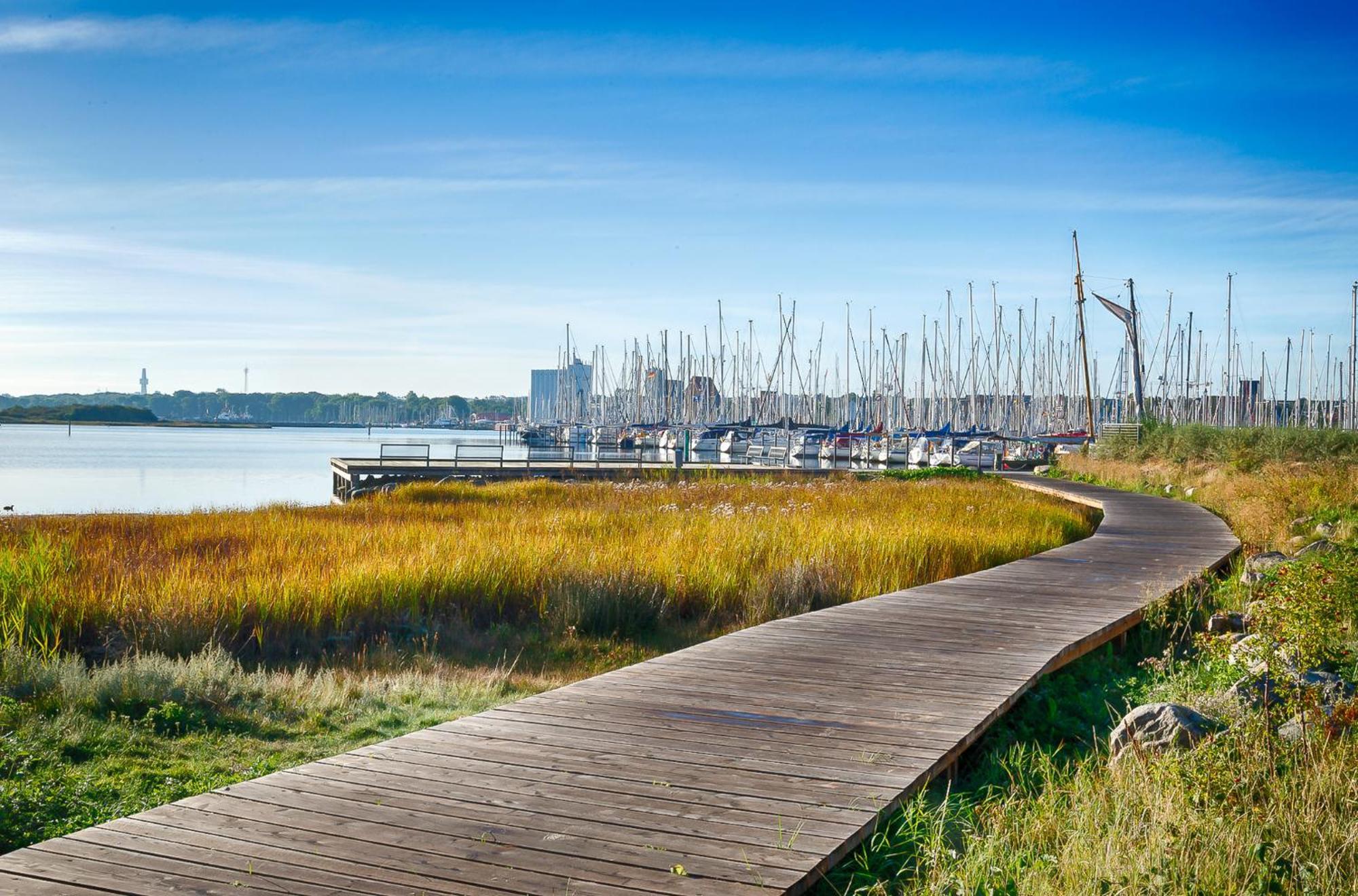 Ostsee - Appartement Nr 89 "Salzaster" Im Strand Resort 海利根港 外观 照片