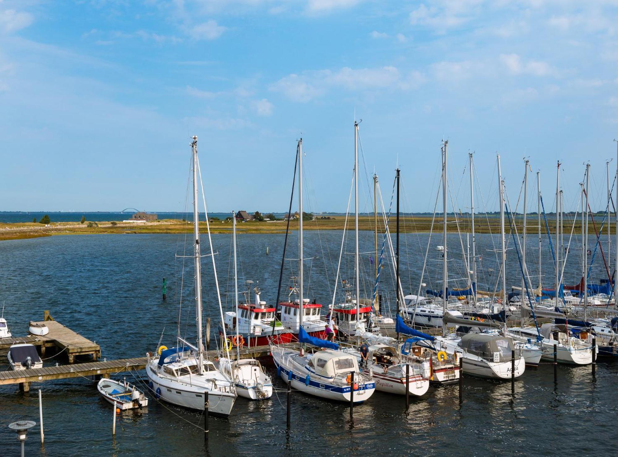 Ostsee - Appartement Nr 89 "Salzaster" Im Strand Resort 海利根港 外观 照片